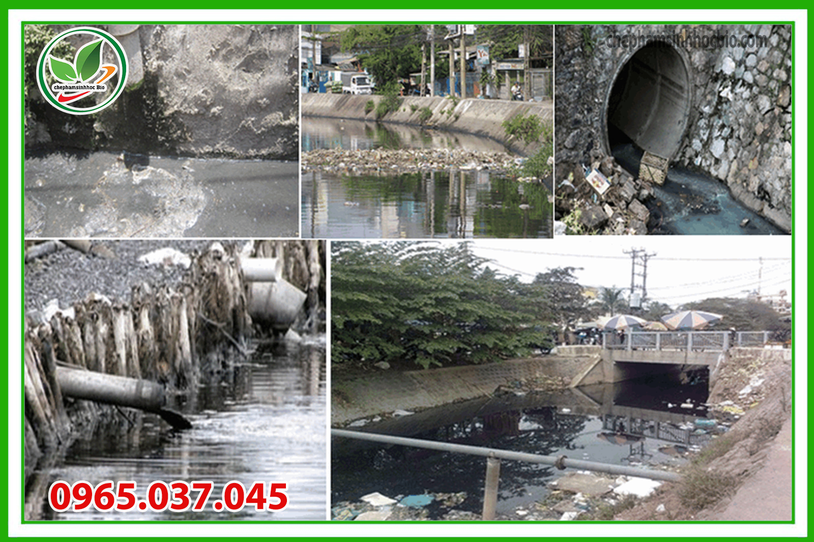 Nước thải không xử lý gây ô nhiễm môi trường