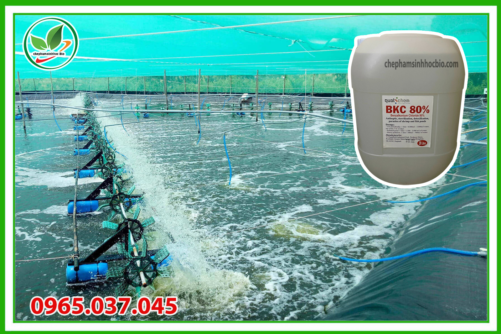 Dùng hóa chất BKC trong thủy sản