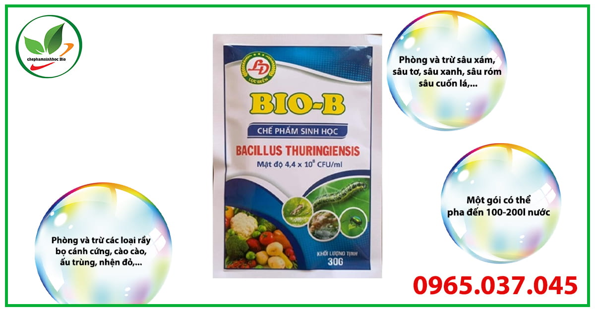 Bio B trở thành thuốc đặc trị bọ trĩ trên cây ớt đa nhiệm và hiệu quả 