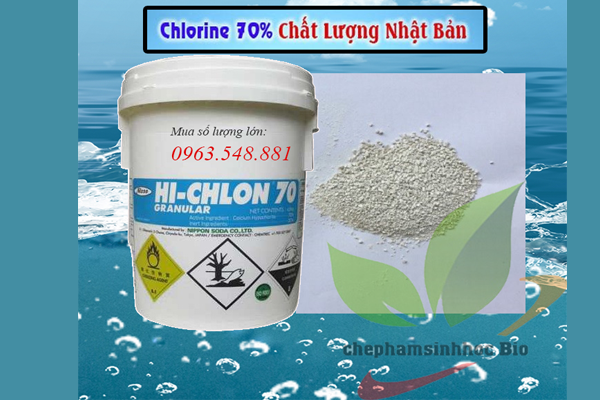 chlorin-nhat-70