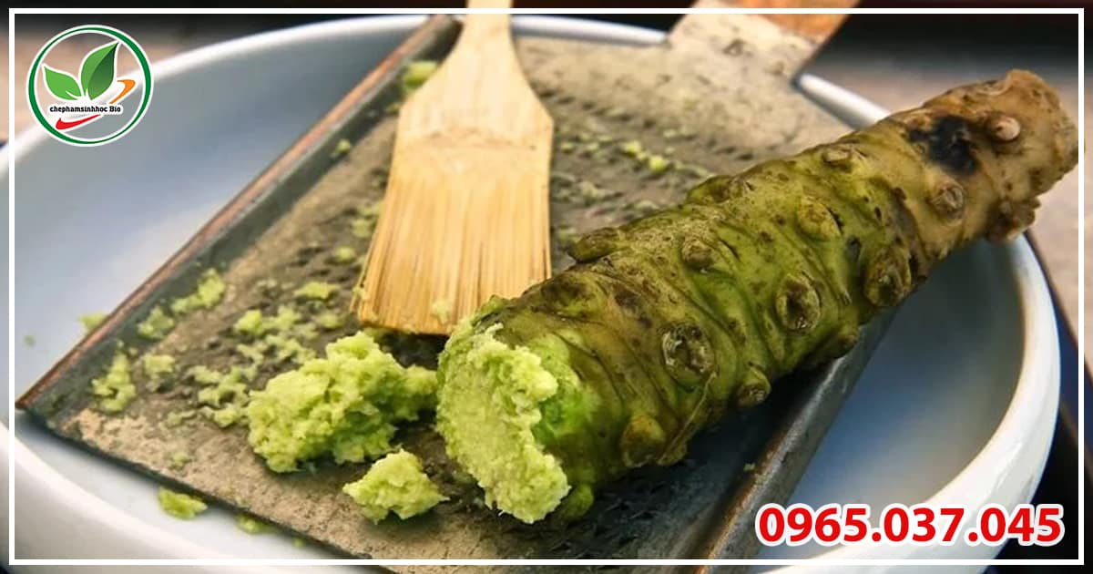 Wasabi có vị hương nồng khiến bọ trĩ khó chịu
