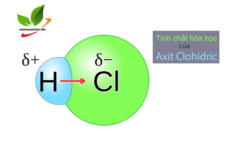 Hình ảnh phân tử axit HCl