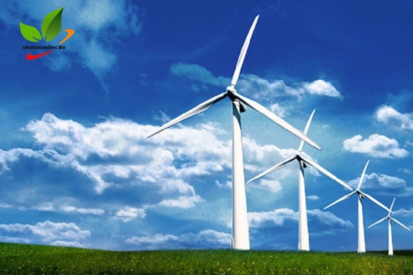 Tua bin gió được dùng trong sản xuất năng lượng sạch