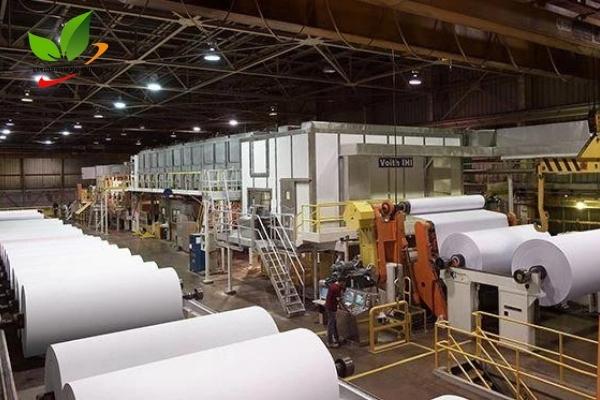 Nhà máy sản xuất giấy