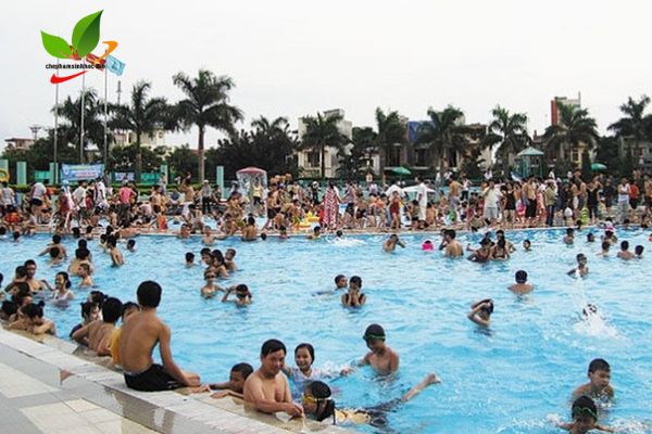 Hồ bơi đông người bơi vào mùa hè