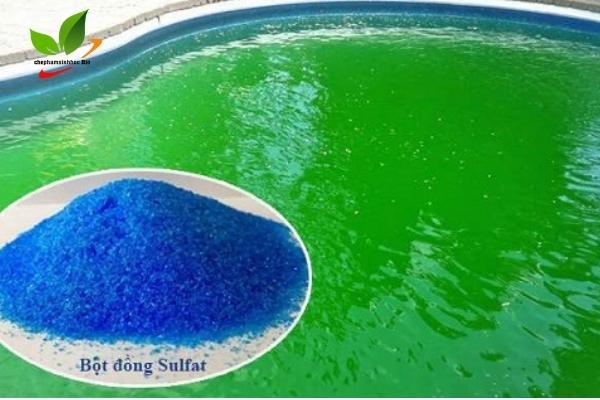 Hóa chất dùng trong quá trình diệt tảo hồ, ao