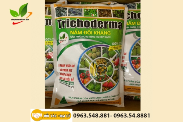 Gói nấm Trichoderma đang được bán trên thị trường