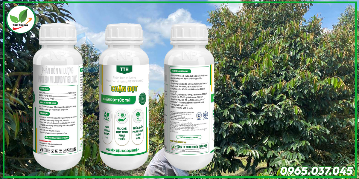 chặn đọt là gì?