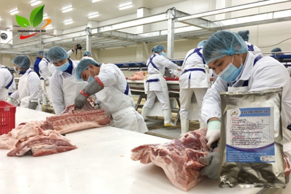 Chế biến thịt phân phối ra thị trường