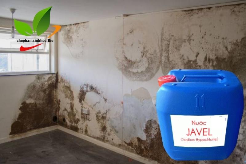 Làm sạch vết mốc trên tường nhà bạn