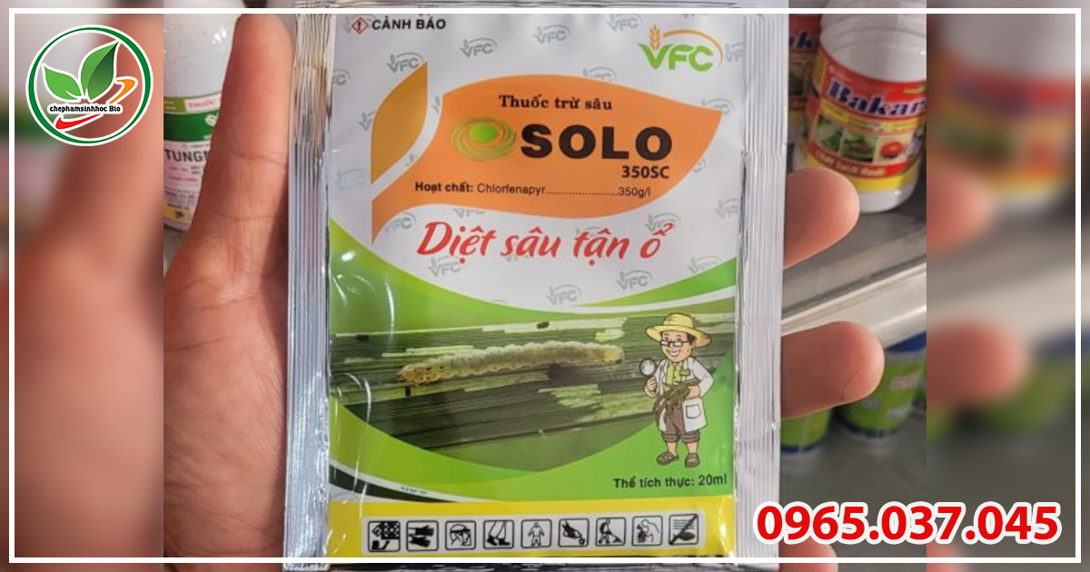 Thuốc đặc trị sâu cuốn lá Solo an toàn 