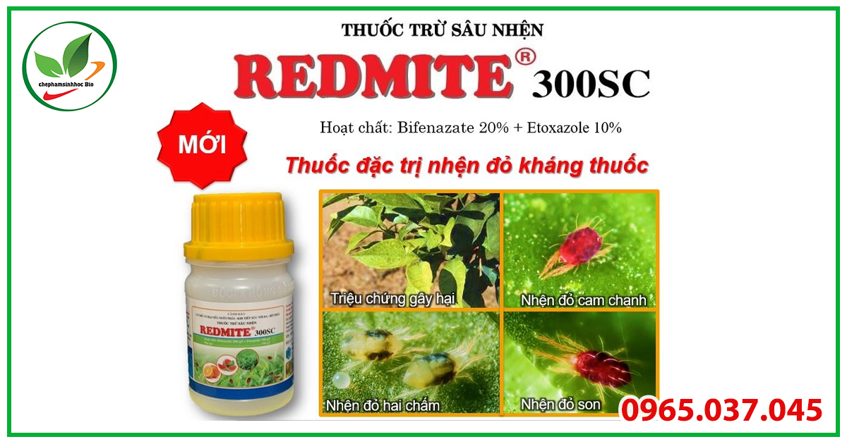 Thuốc trị nhện đỏ Redmite 300SC kết hợp hai hoạt chất Bifenazate và Etoxazole