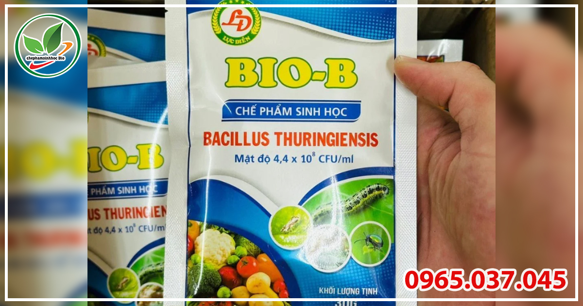 Thuốc trị sùng đất sinh học Bio B 