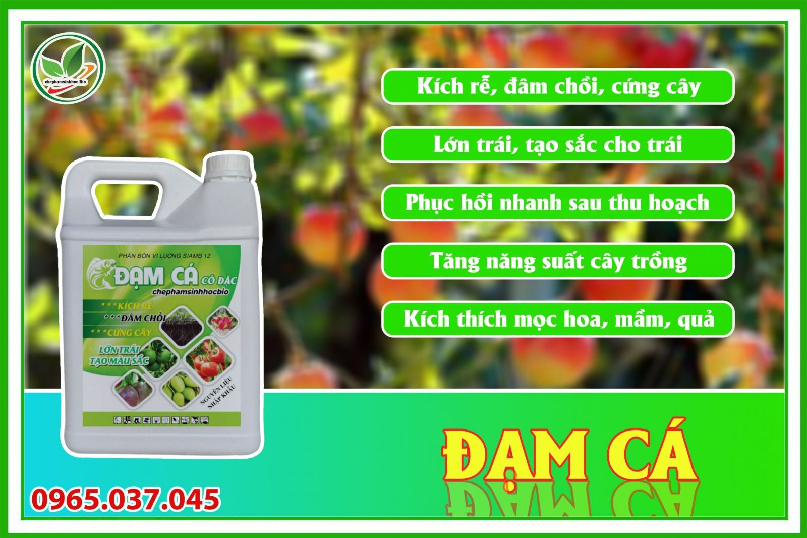 Đạm cá cô đặc được ủ bằng cá và vi sinh vật