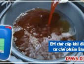 Cách điều chế sử dụng Emzone thứ cấp trong Nông nghiệp Chăn nuôi Thủy Sản