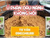 Cách ủ đậu nành bón cho cây trồng không mùi hôi hiệu quả