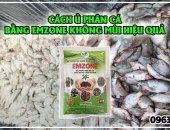  Cách ủ phân cá bằng chế phẩm vi sinh Emzone không mùi hôi