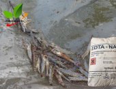 EDTA khử phèn hạ kiềm trong ao nuôi trồng thủy sản