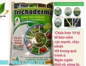 Cách Dùng Nấm Đối Kháng Trichoderma Hiệu Quả Cho Nông Dân