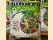 Tip Chọn Lựa Nấm Trichoderma Đúng Chuẩn Cho Nông Dân