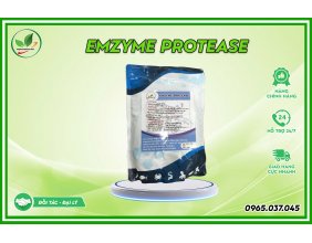 Enzyme Protease gói 1kg - Phân giải protein, độc tố trong ao nuôi tôm cá