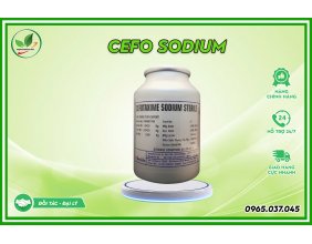 Cefo taxime Sodium Sterile lon 1Kg - Trị bệnh phân trắng hoại tử gan trên tôm