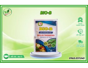 Chế phẩm sinh học Bio B gói 30g