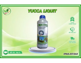 Yucca liquit chai 1 lít - Hấp thụ khí độc trong ao nuôi tôm