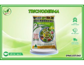 NẤM ĐỐI KHÁNG TRICHODERMA