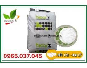 Sodium Bicarbonate (Bicar Z) bao 25kg dùng trong ao nuôi