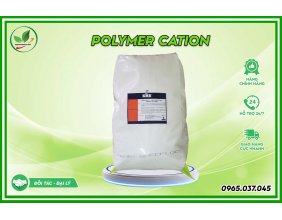 Hoá Chất Polymer Cation