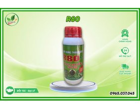 Bổ sung thảo dược R80 chai 500ml - Cắt ngay phân trắng lỏng ruột