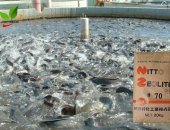 Các loại hóa chất xử lý nước trong nuôi trồng thủy sản