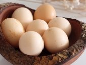 Bạn có tin rằng vỏ trứng có thể làm phân bón cho cây?