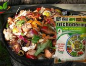 Cách ủ rác thừa nhà bếp với nấm Trichoderma