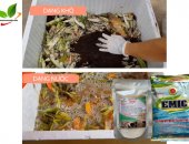 5 cách ủ rác nhà bếp trồng rau không bị mùi hôi trong thùng