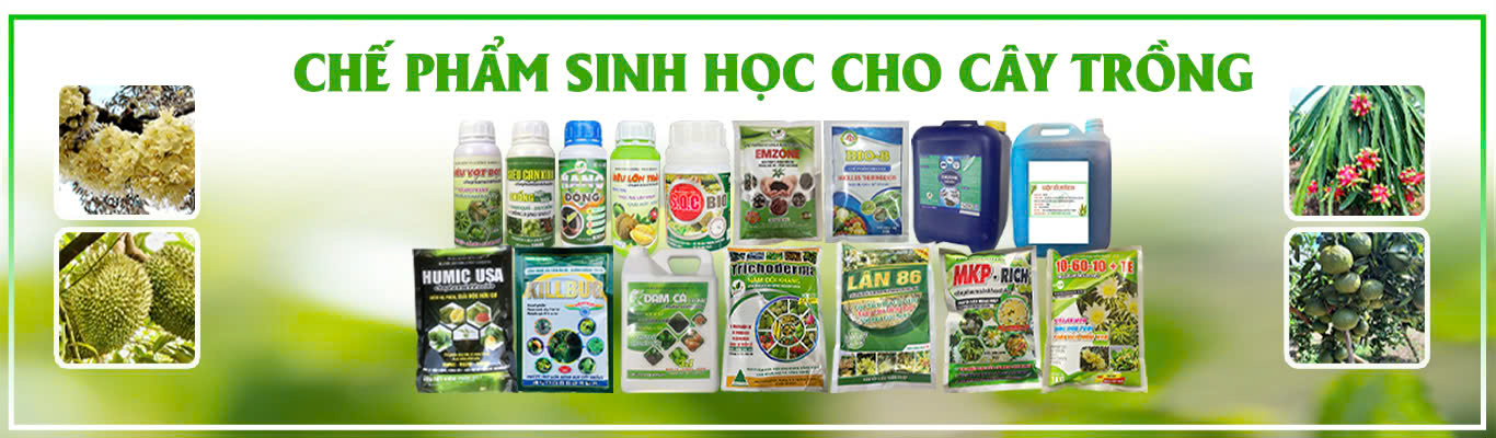 CHẾ PHẨM SINH HỌC CHO CÂY TRỒNG